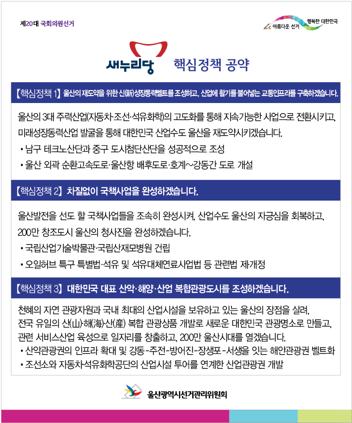 새누리당 공약